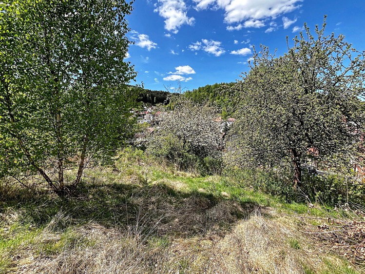 Grundstück zum Kauf, 1.039 m² (7 von 12)
