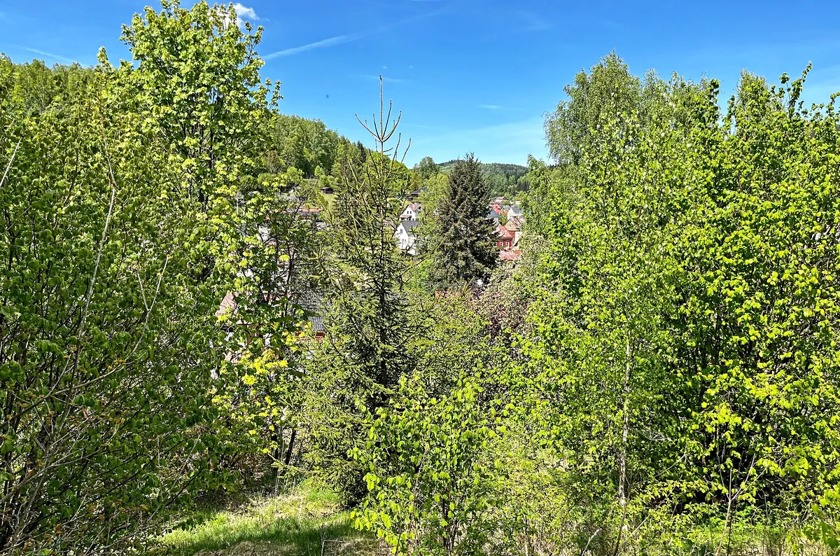 Fotka 10 z 12