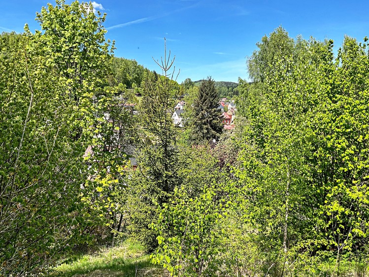 Grundstück zum Kauf, 1.039 m² (10 von 12)