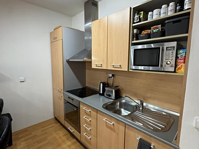 Pronájem bytu 1+kk 40 m² (Jednopodlažní)