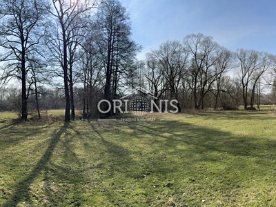 Prodej  komerčního pozemku 16 901 m²