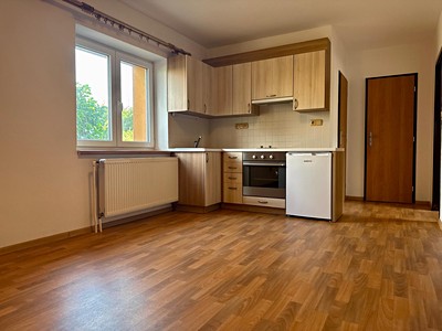 Pronájem bytu 1+1 40 m²