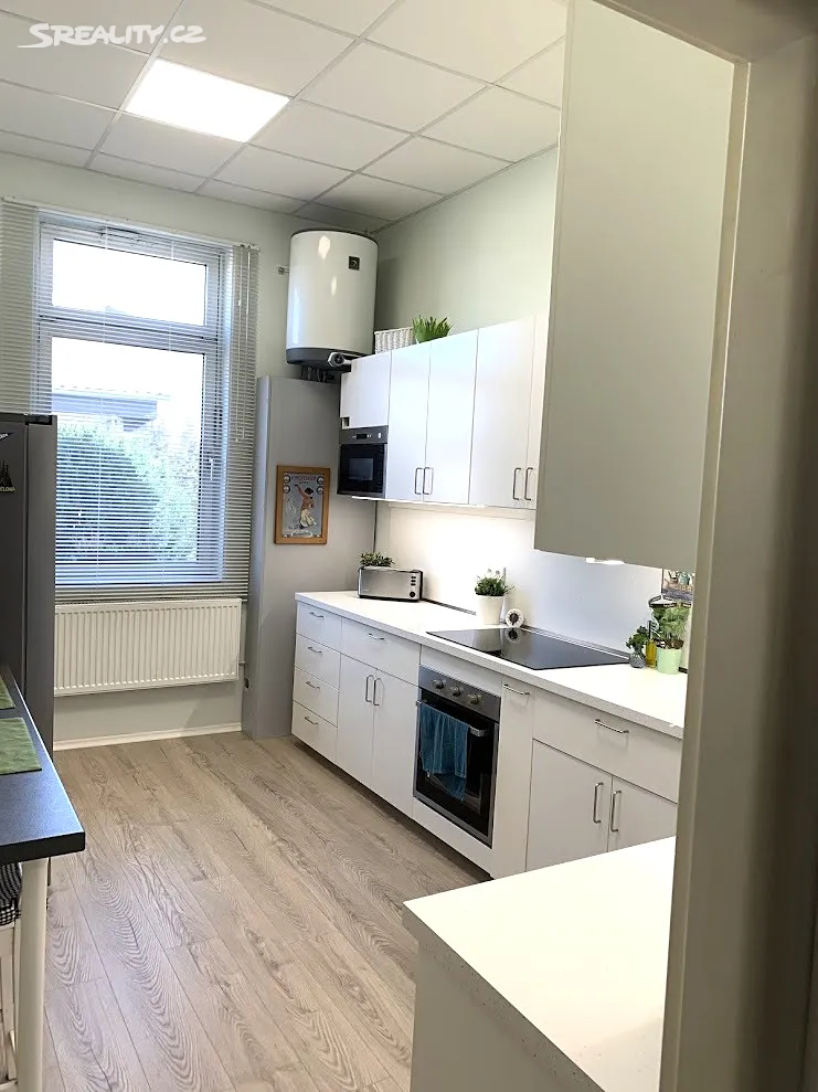 Pronájem obchodního prostoru 280 m² – pohled 4