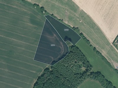 Prodej  pole 5 420 m²