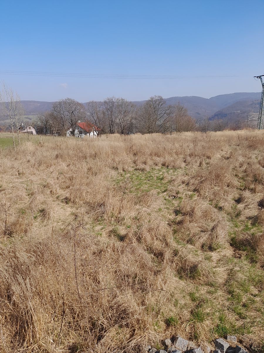Prodej zahrady 2663 m² – fotografie 3