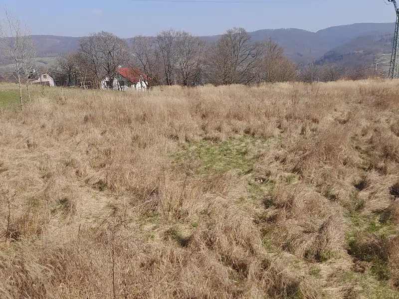 Prodej zahrady 2663 m², Hlubočky – náhled fotky 3