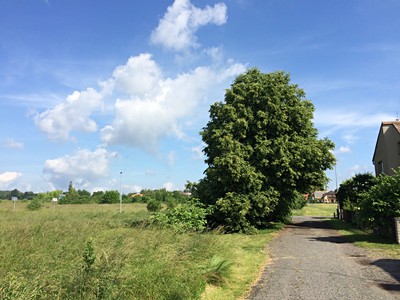 Grundstück zum Kauf, 8.506 m² (3 von 13)