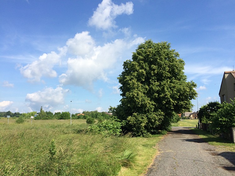 Grundstück zum Kauf, 8.506 m² (3 von 13)