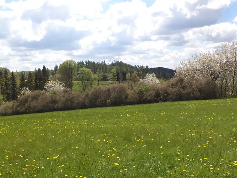 Prodej pozemku 5357 m², Vítkov – náhled fotky 3