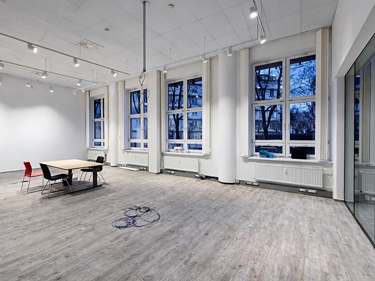Pronájem komerčního prostoru, 215 m² (1 z 5)