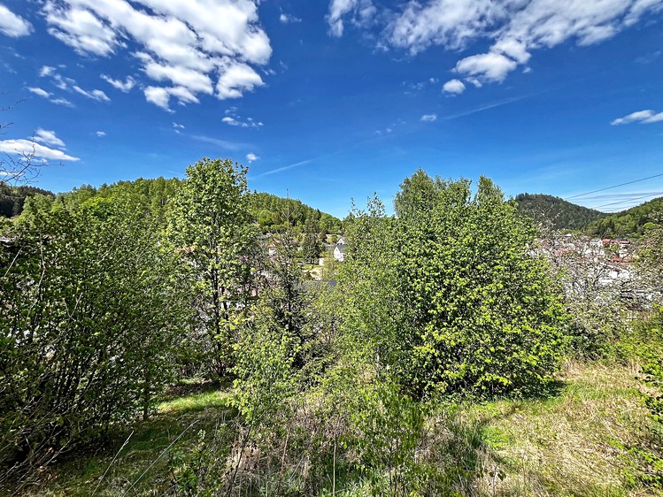 Grundstück zum Kauf, 1.039 m² (9 von 12)