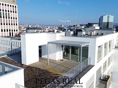 Prodej bytu 6 pokojů a více 258 m² (Jednopodlažní)