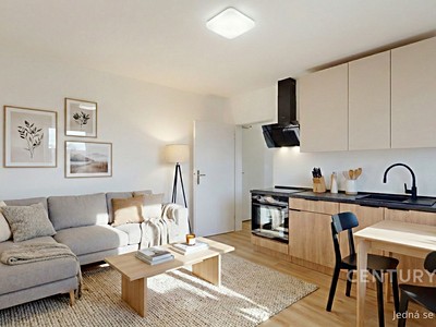 Pronájem bytu 2+kk 40 m² — photo 3