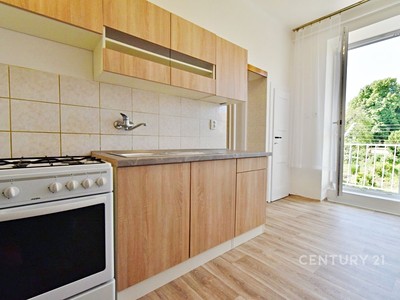 Pronájem bytu 1+1 44 m²