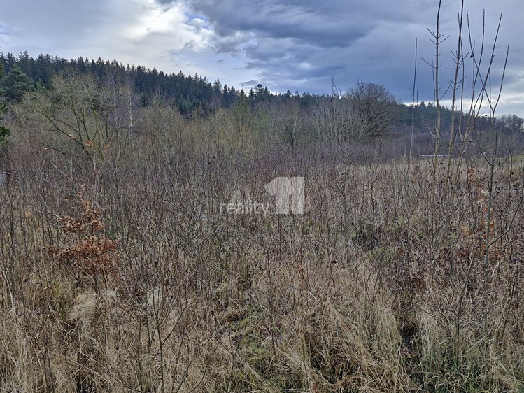 Prodej pozemku, 2 983 m² (9 z 14)