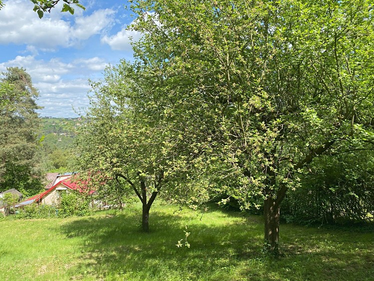 Haus zum Kauf, 50 m² (6 von 11)
