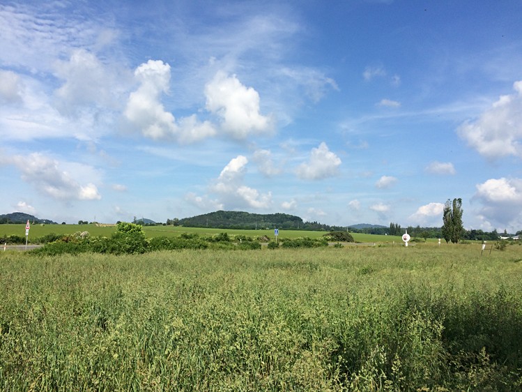 Grundstück zum Kauf, 8.506 m² (5 von 13)