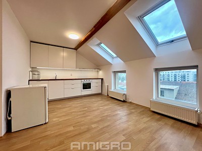 Pronájem bytu 2+kk 47 m²