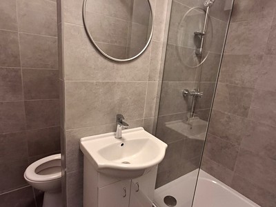 Pronájem bytu 1+1 39 m² (Jednopodlažní)