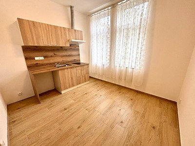 Pronájem bytu 1+1 35 m²