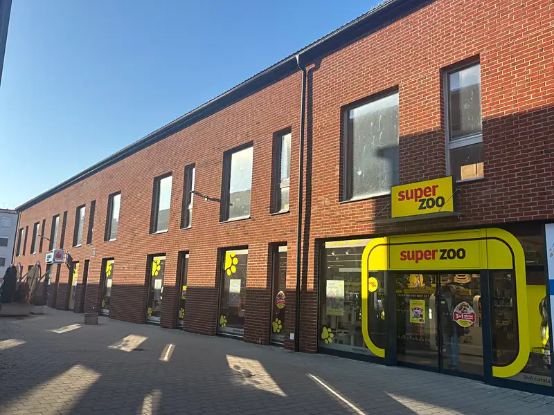 Pronájem obchodního prostoru 350 m², Židlochovice – náhled fotky 1