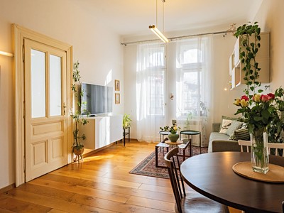 Pronájem bytu 2+kk 55 m² (Jednopodlažní) — photo 4