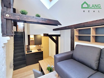 Pronájem bytu 1+kk 35 m² (Mezonet)