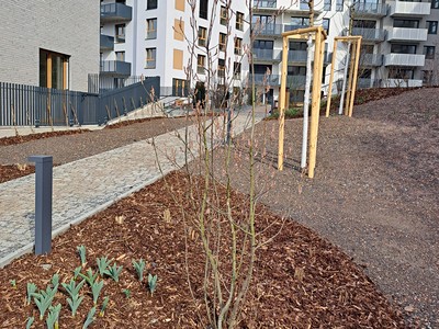 Prodej bytu 1+kk 41 m² (Jednopodlažní)