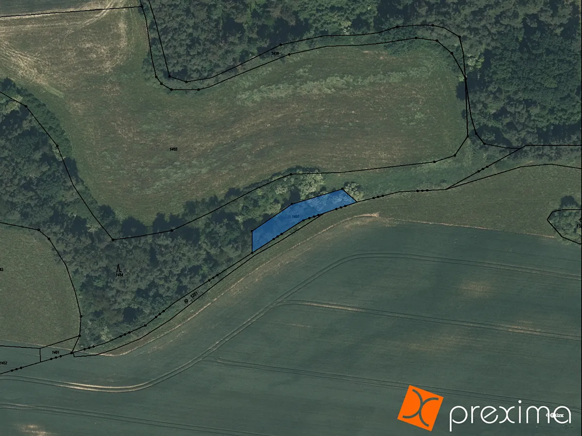 Prodej lesa 540 m²