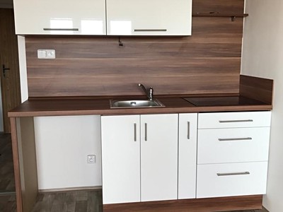 Pronájem bytu 1+kk 28 m²