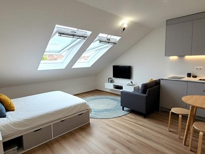 Pronájem bytu 1+kk 17 m²