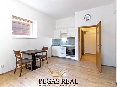 Pronájem bytu 1+kk 24 m²