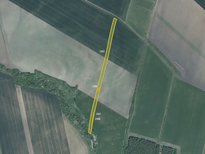 Prodej  pole 10 367 m² — photo 2