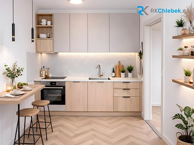 Prodej bytu 2+1 46 m²