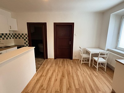 Pronájem bytu 1+1 45 m²