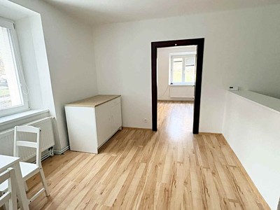 Pronájem bytu 1+1 45 m²