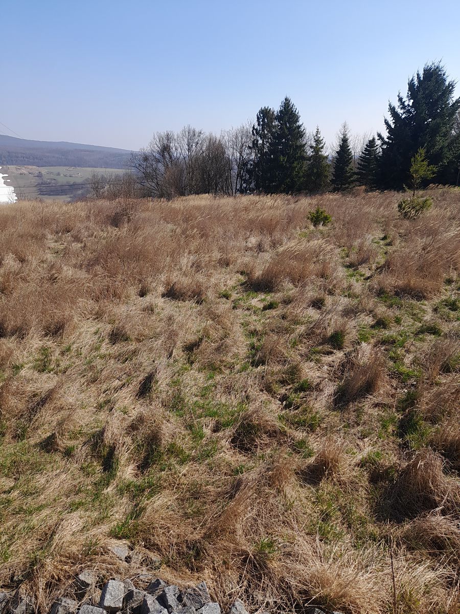 Prodej zahrady 2663 m²