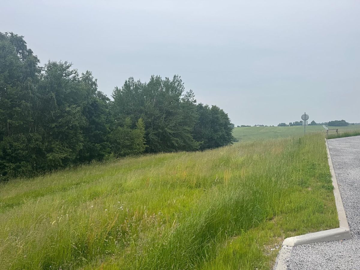 Prodej stavebního pozemku 1251 m² – fotografie 3