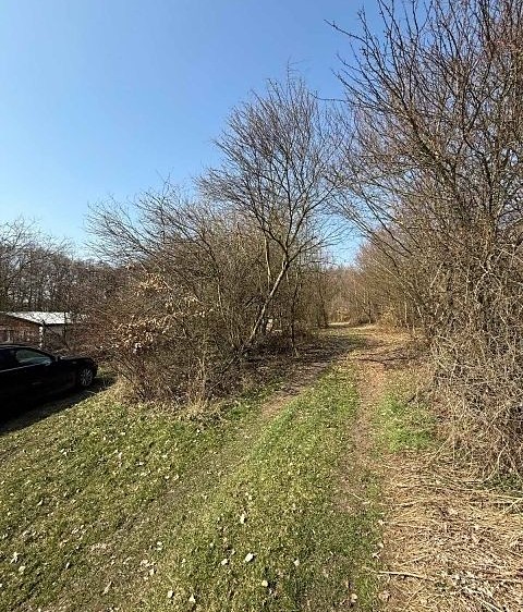 Grundstück zum Kauf, 651 m² (7 von 10)