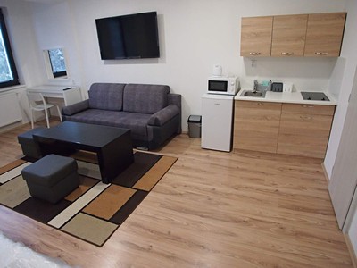 Pronájem bytu 1+kk 30 m²