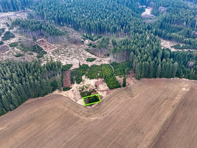 Prodej  lesa 649 m²