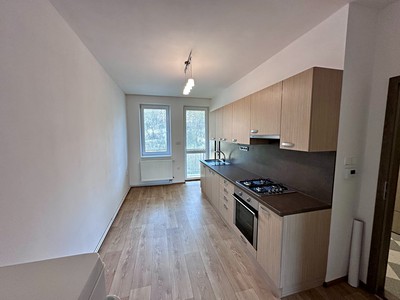 Pronájem bytu 1+1 40 m²