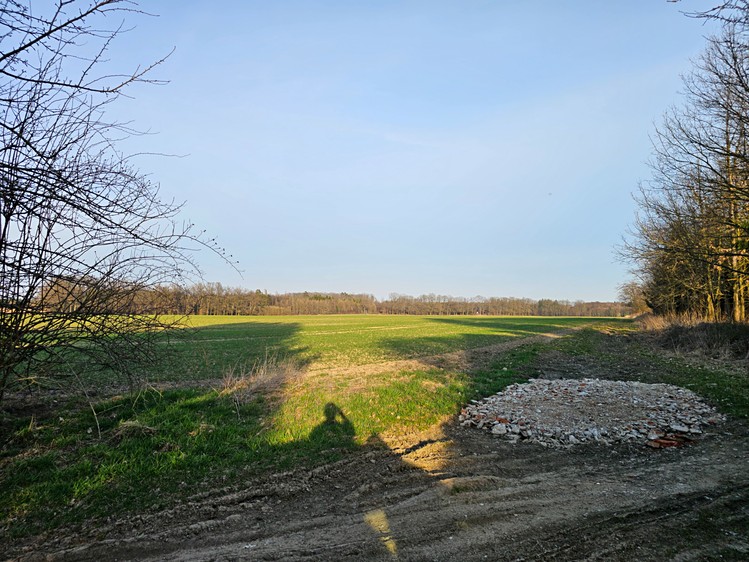 Ostatní