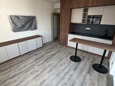 Pronájem bytu 2+kk 45 m² (Jednopodlažní)