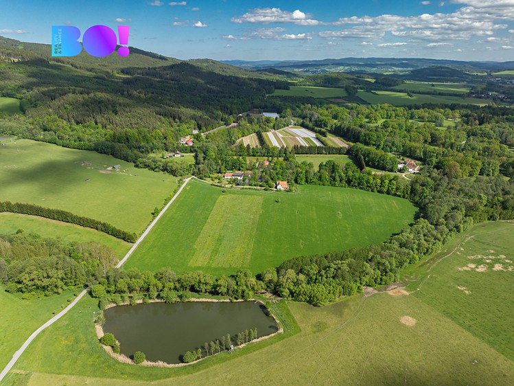 Ділянка на продаж, 55 021 м² (4 з 8)