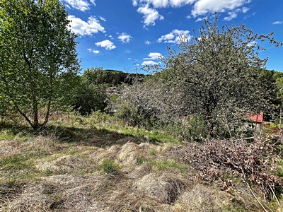 Grundstück zum Kauf, 1.039 m² (2 von 12)