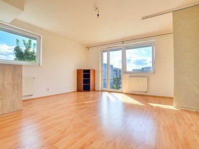 Pronájem bytu 1+kk 37 m²