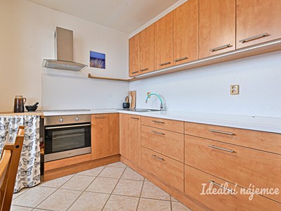 Pronájem bytu 1+1 45 m²