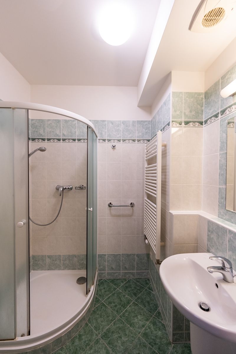 Pronájem bytu 1+kk 38 m² – fotografie 4