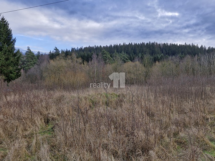 Prodej pozemku, 2 983 m² (11 z 14)